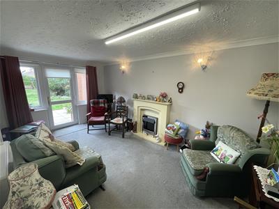 Picture 7